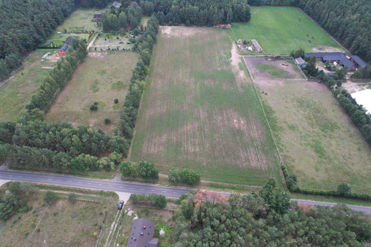 Działka budowlana Zalesie Borowe. Zdjęcie 8