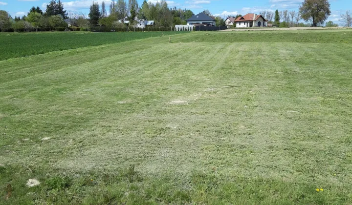 Działka rolno-budowlana Oleszyce, Zielona