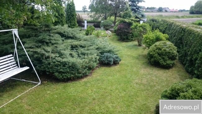 Działka siedliskowa Roztropna. Zdjęcie 2