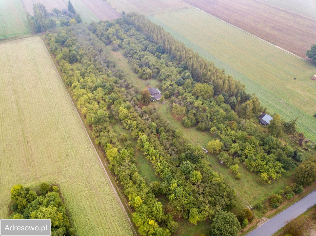 Działka siedliskowa Żerocin. Zdjęcie 3