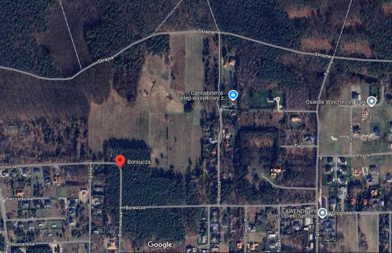 Działka inwestycyjna Stara Wieś, ul. Borsucza. Zdjęcie 3