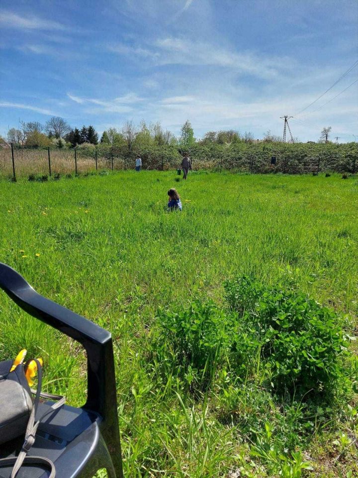 Działka budowlana Głogów Brzostów, ul. Jałowcowa. Zdjęcie 3