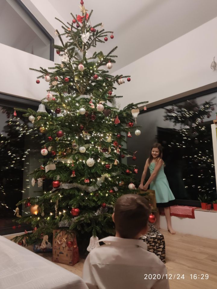 dom wolnostojący, 5 pokoi Kraków Nowa Huta, ul. Klasztorna. Zdjęcie 7