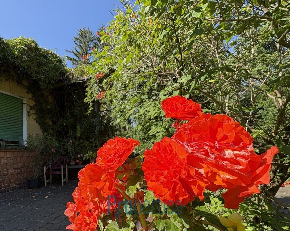 Działka budowlana Konstancin-Jeziorna, ul. Tadeusza Kościuszki. Zdjęcie 7