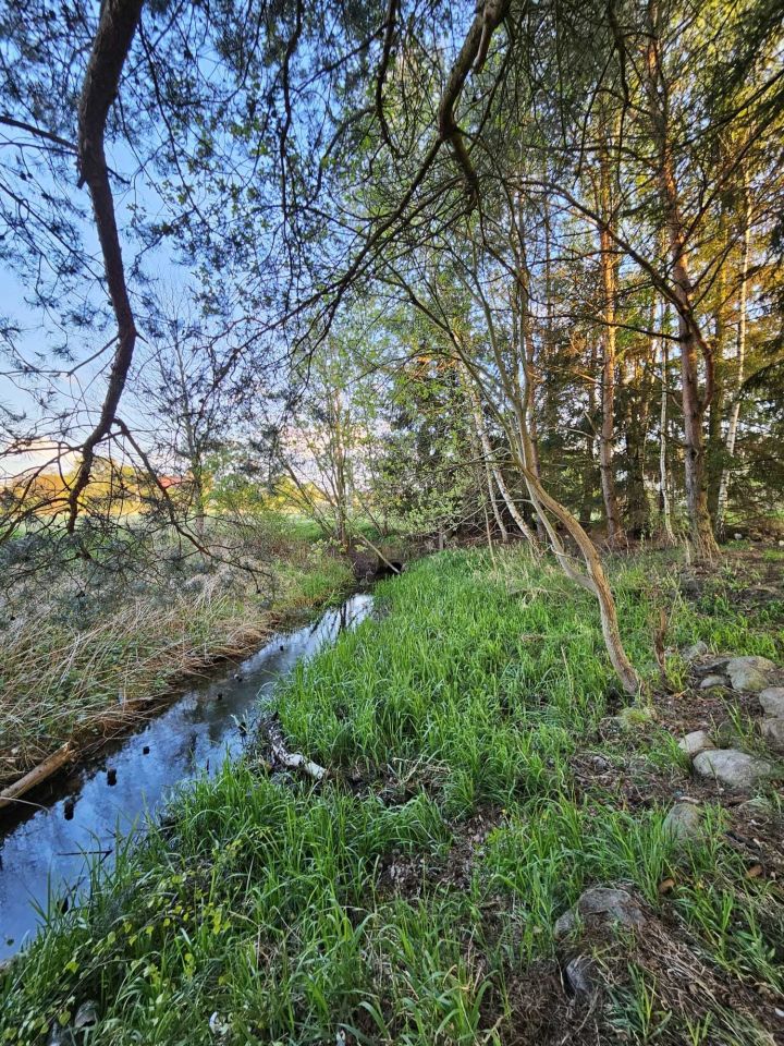 Działka rekreacyjna Świdwin, ul. Pocztowa. Zdjęcie 3