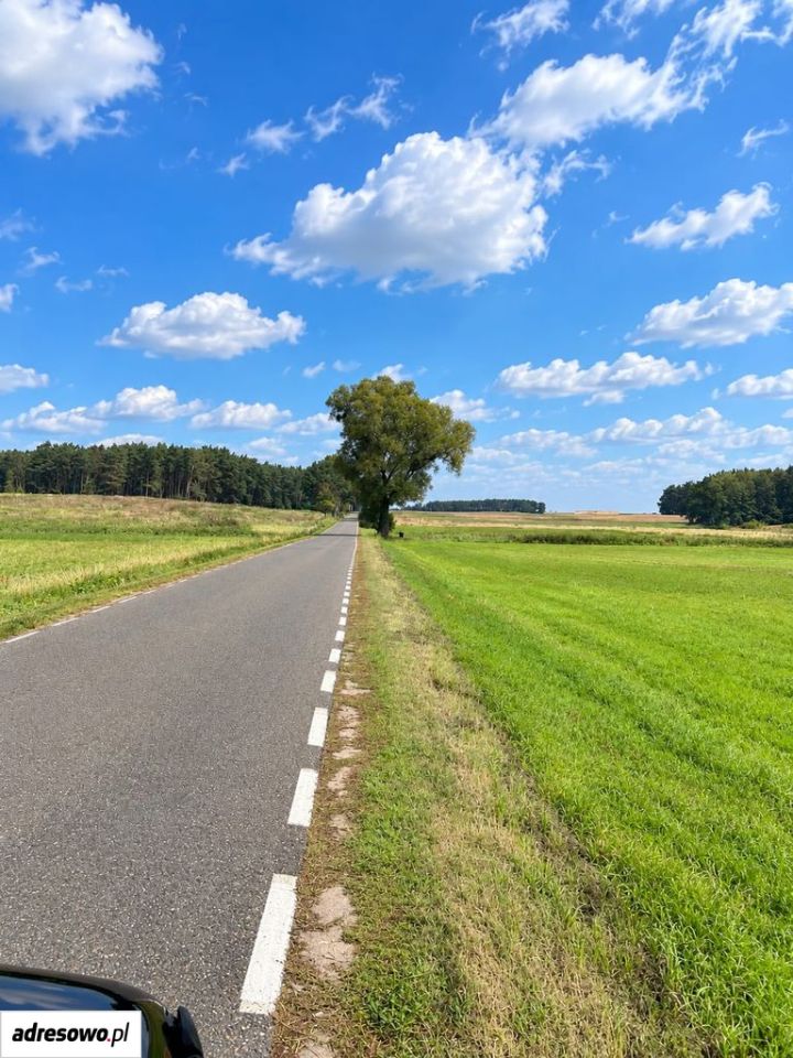 Działka budowlana Zielątkowo, ul. Leśna. Zdjęcie 4
