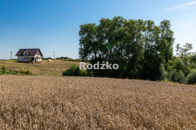 dom wolnostojący, 5 pokoi Zbrachlin. Zdjęcie 3