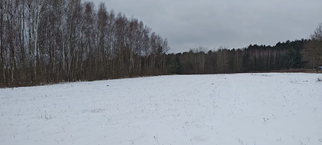 Działka budowlana Gzowo. Zdjęcie 4