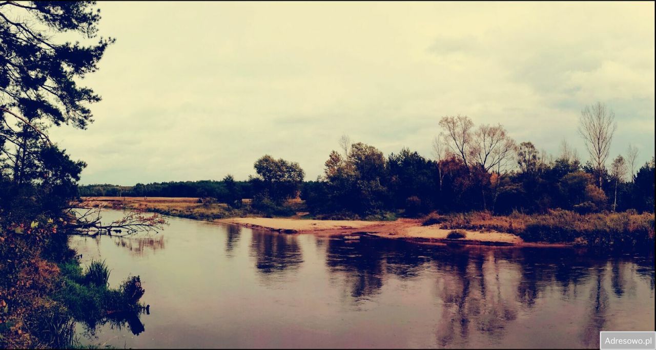 Działka leśna Podbale. Zdjęcie 3