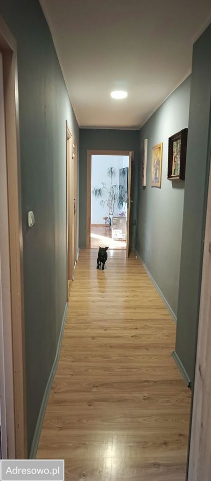 Mieszkanie 4-pokojowe Bolesławiec, ul. Bolesława Kubika. Zdjęcie 14