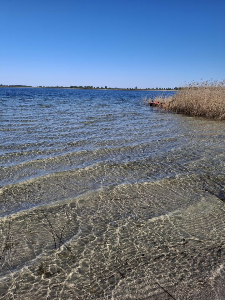 Działka rekreacyjna Kamienica, Zielony zakątek. Zdjęcie 16