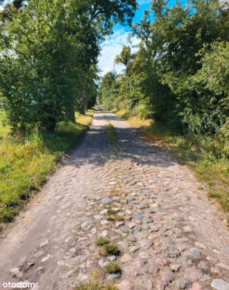 Działka budowlana Narost. Zdjęcie 7