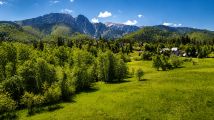 Działka rolna Zakopane, ul. Droga na Wierch. Zdjęcie 3
