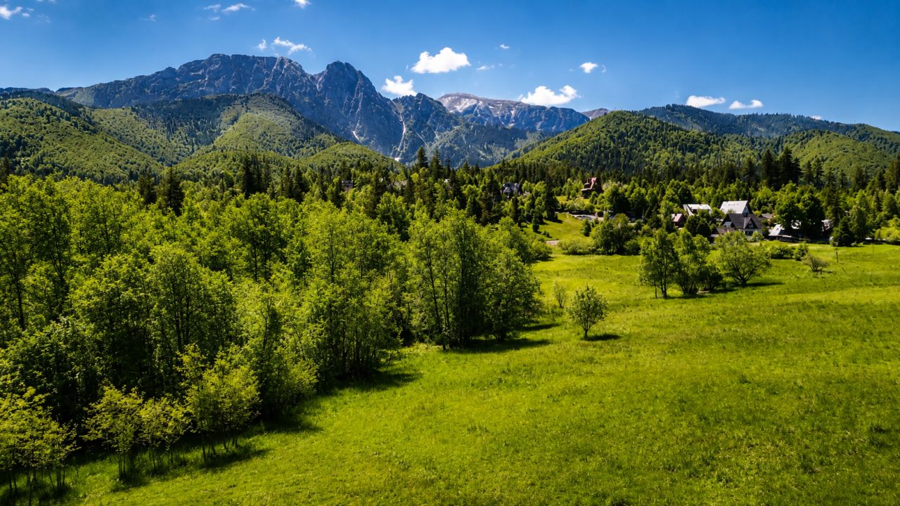 Działka rolna Zakopane, ul. Droga na Wierch. Zdjęcie 4