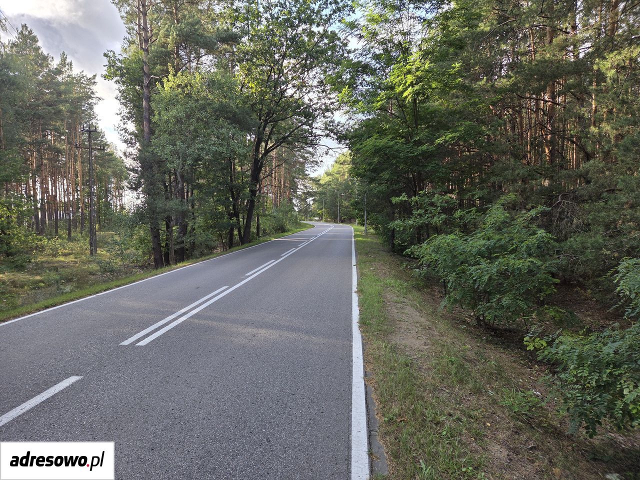 Działka leśna Wólka Radzymińska, ul. Szkolna. Zdjęcie 8