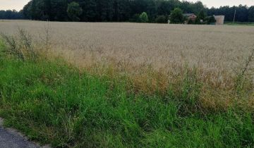 Działka budowlana Orzesze Zgoń, ul. Gostyńska