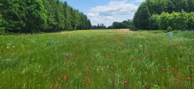 Działka budowlana Białopole, ul. Żołnierzy I AWP. Zdjęcie 2