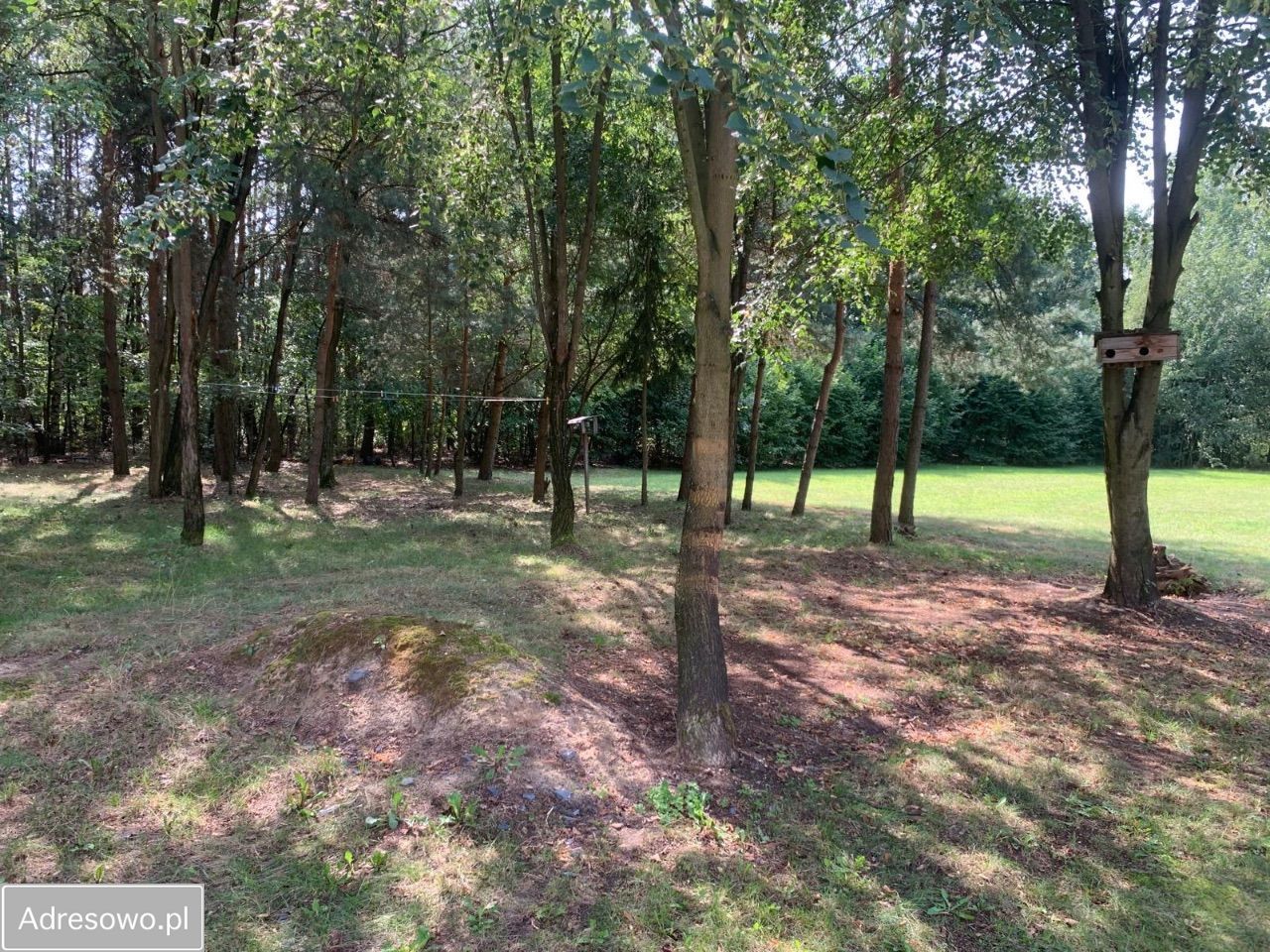 Działka rolno-budowlana Nowe Zawady. Zdjęcie 4