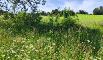 Działka budowlana Dzikowiec