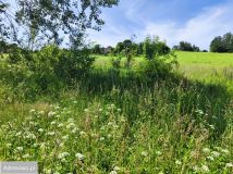 Działka budowlana Dzikowiec. Zdjęcie 1