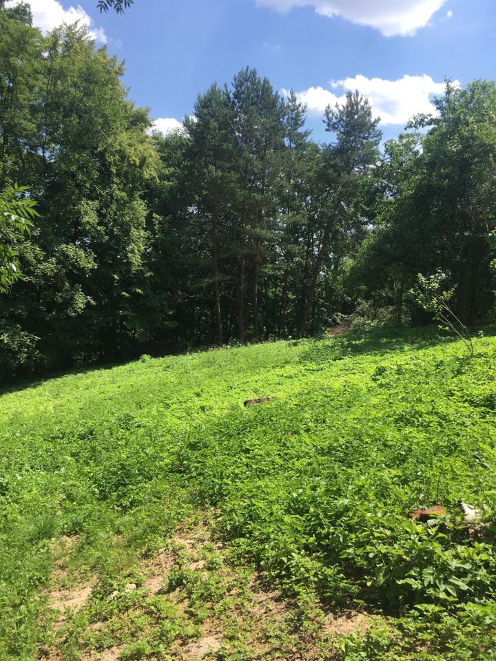 Działka budowlana Rybna Kucoroszec, ul. Górna. Zdjęcie 10