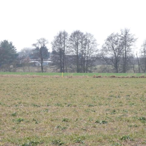 Działka budowlana Stary Dwór. Zdjęcie 8