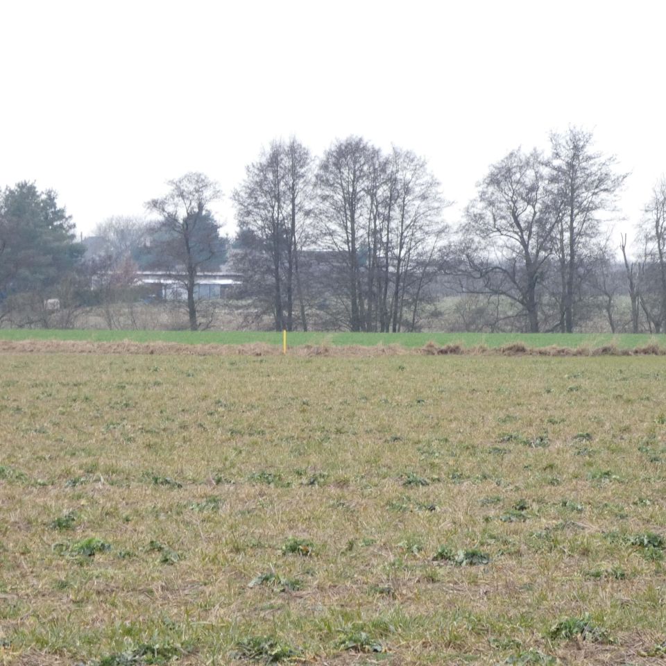 Działka budowlana Stary Dwór. Zdjęcie 8