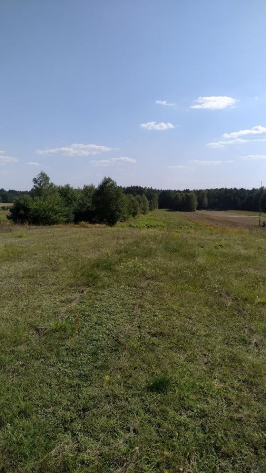 Działka rolna Przyłanki. Zdjęcie 3