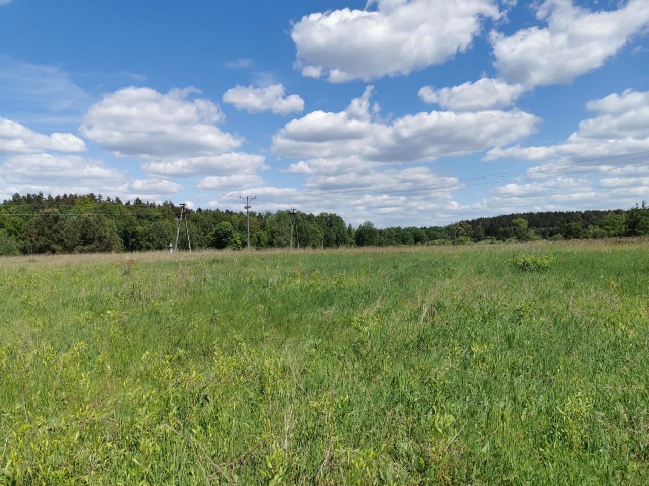 Działka rolno-budowlana Komorowo. Zdjęcie 5