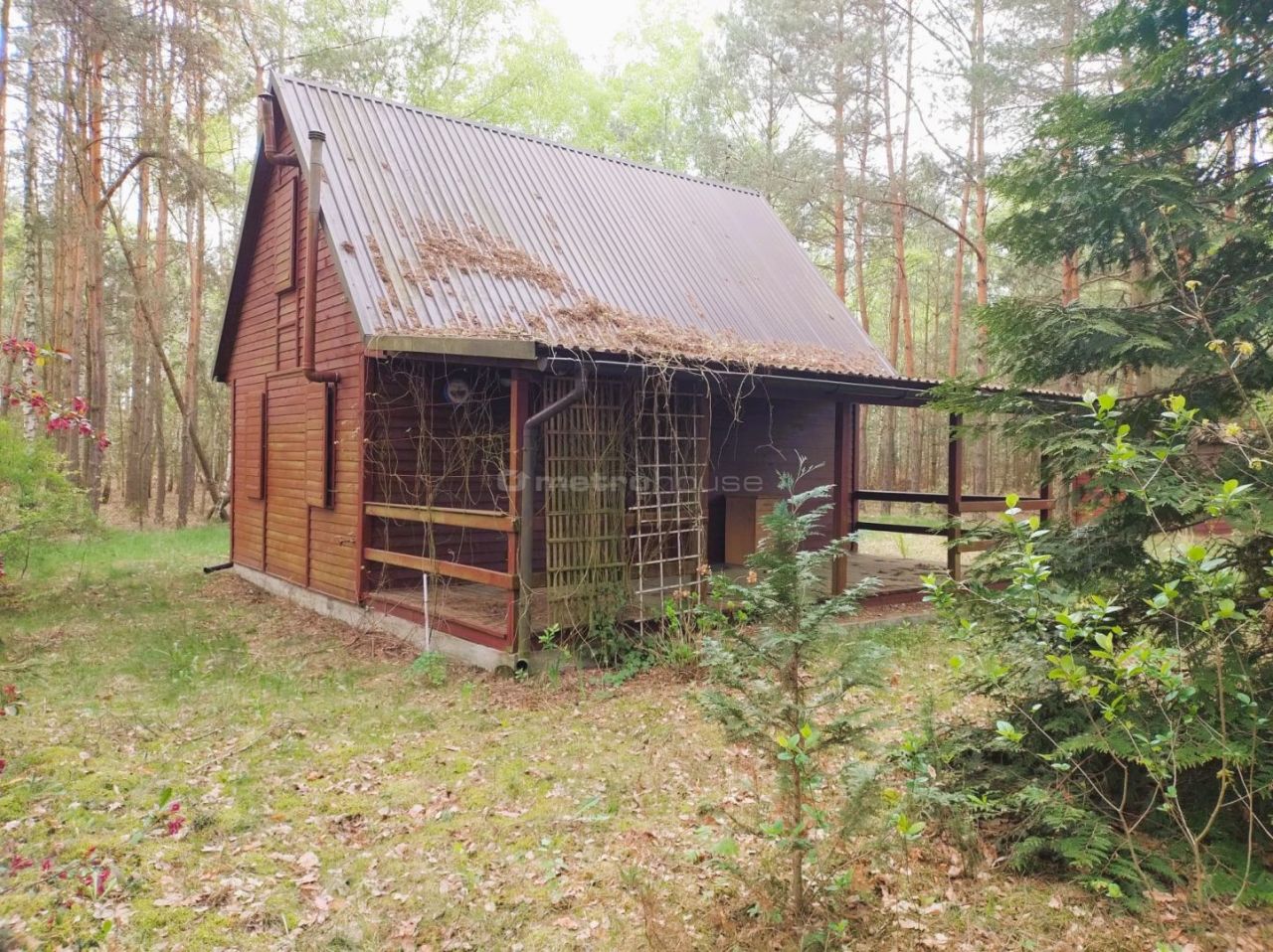 dom wolnostojący, 3 pokoje Cisie. Zdjęcie 9