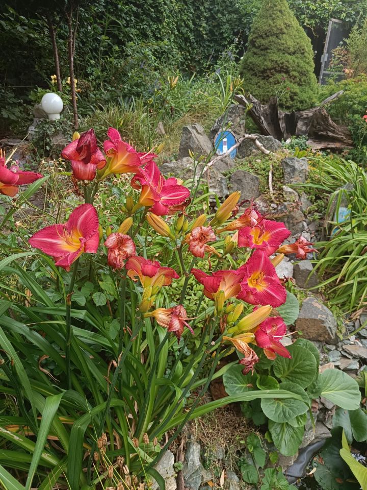 bliźniak, 3 pokoje Jarosław. Zdjęcie 32