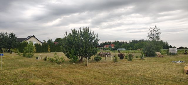 Działka budowlana Prawiedniki. Zdjęcie 4