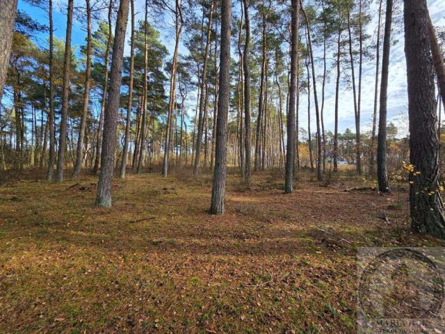 Działka budowlana Dziwnów. Zdjęcie 10