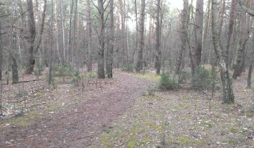 Działka Kampinos