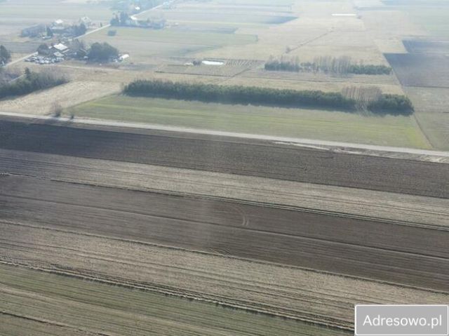 Działka rolno-budowlana Kolonia Domaszewnica. Zdjęcie 1