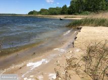 Działka inwestycyjna Prądocin. Zdjęcie 3