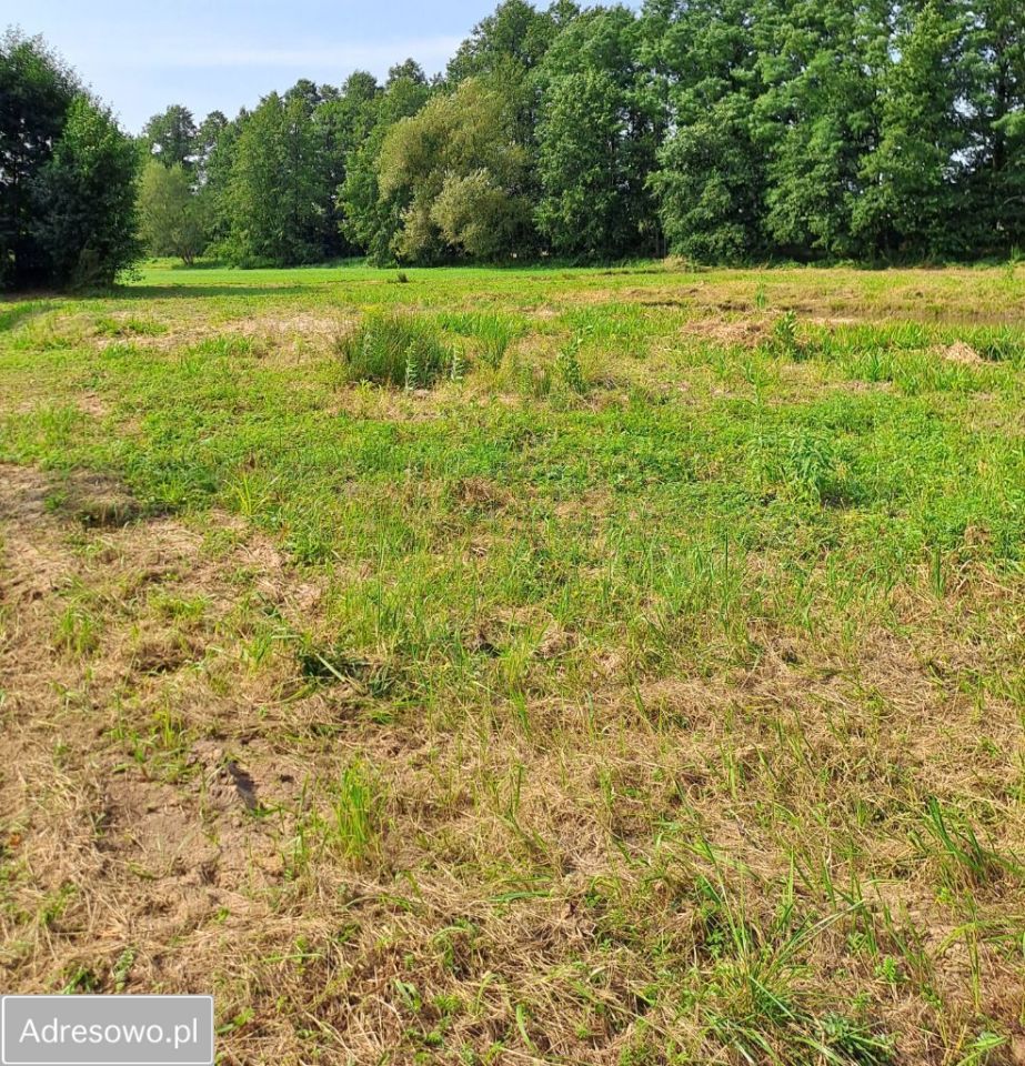 Działka budowlana Ostrzeszów. Zdjęcie 3