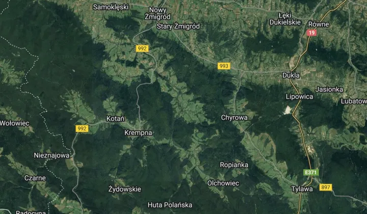 Działka leśna Myscowa