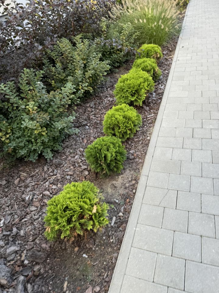 Mieszkanie 3-pokojowe Pabianice Centrum, ul. gen. Kazimierza Pułaskiego. Zdjęcie 9