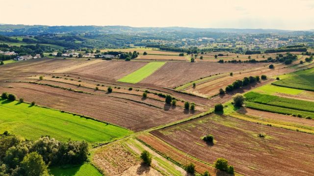 Działka rolna Bodzanów. Zdjęcie 7