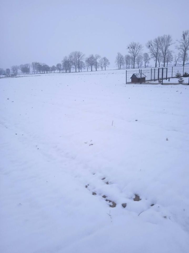 Działka budowlana Gortatowo. Zdjęcie 2