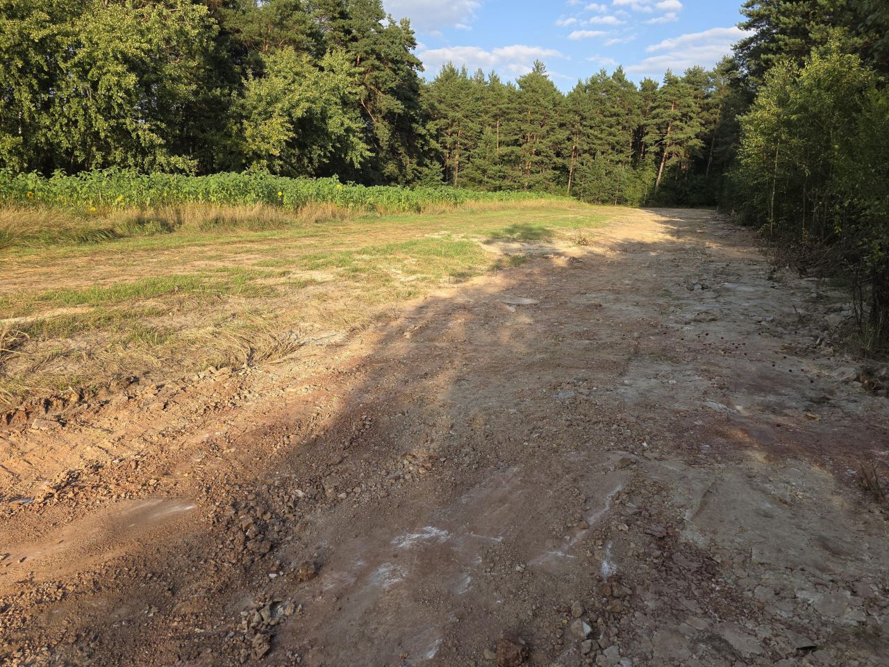 Działka inwestycyjna Suków Pastwisko. Zdjęcie 8