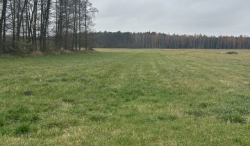 Działka rolno-budowlana Wrzeszczewice Nowe