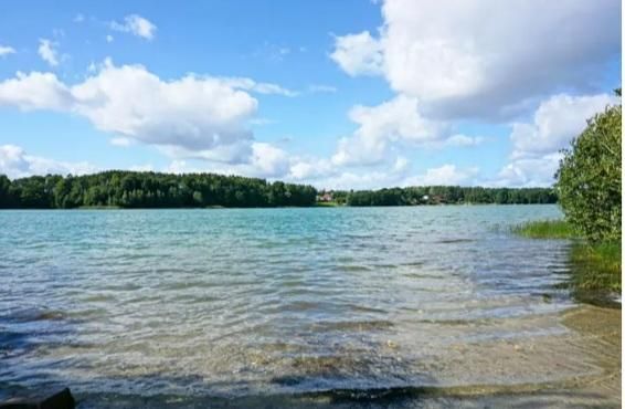 Działka budowlana Klonowo Dolne, ul. Głęboka. Zdjęcie 4