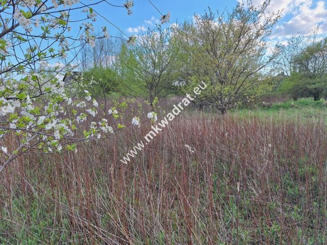 Działka budowlana Kajetany. Zdjęcie 1