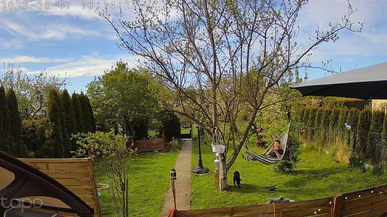 Działka rod Świnoujście, ul. Szkolna. Zdjęcie 2