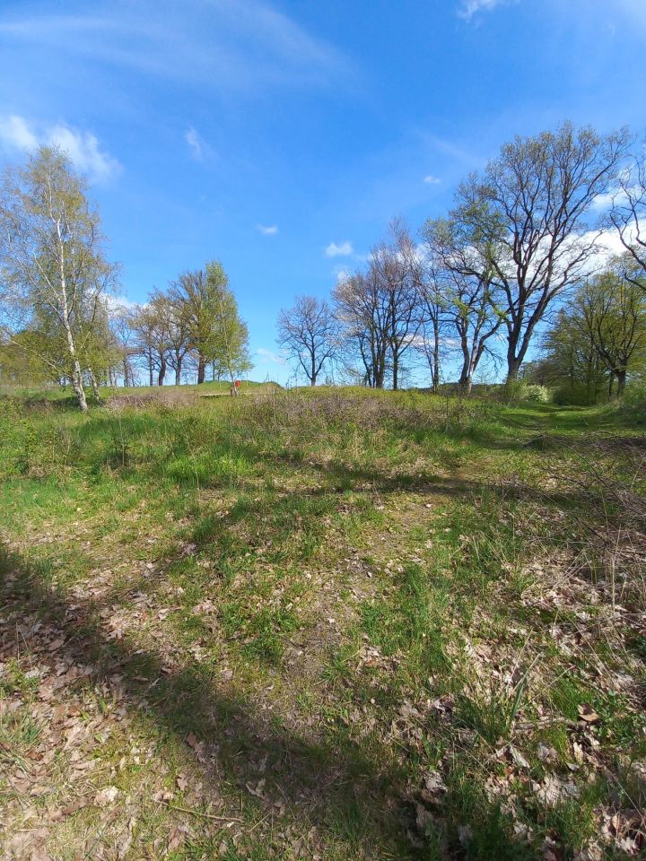 Działka budowlana Domachowo