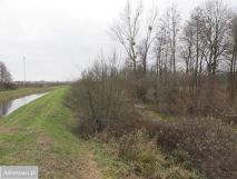 Działka rolna Szczekarków-Kolonia. Zdjęcie 4