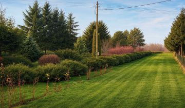 Działka budowlana Kikół, ul. Polna