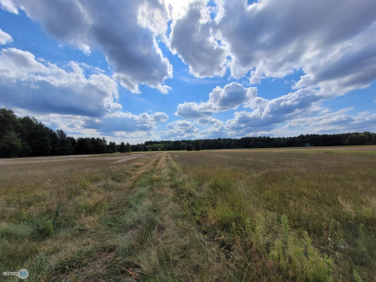 Działka rekreacyjna Kluczewsko. Zdjęcie 8